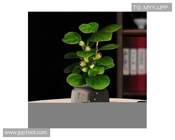 盆栽绿意与生活空间完美融合的创意设计与养护技巧分享 盆栽绿意与生活空间完美融合的创意设计与养护技巧分享